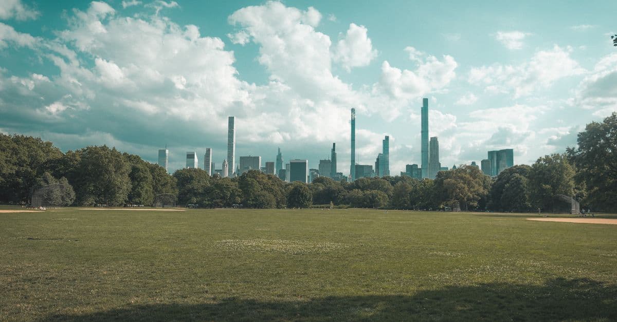 How to Throw a Birthday Party in Central Park