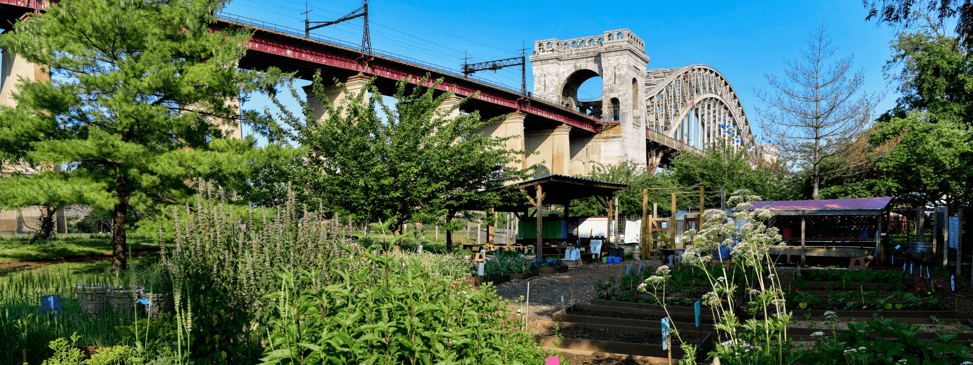 Randall's Island Urban Farm