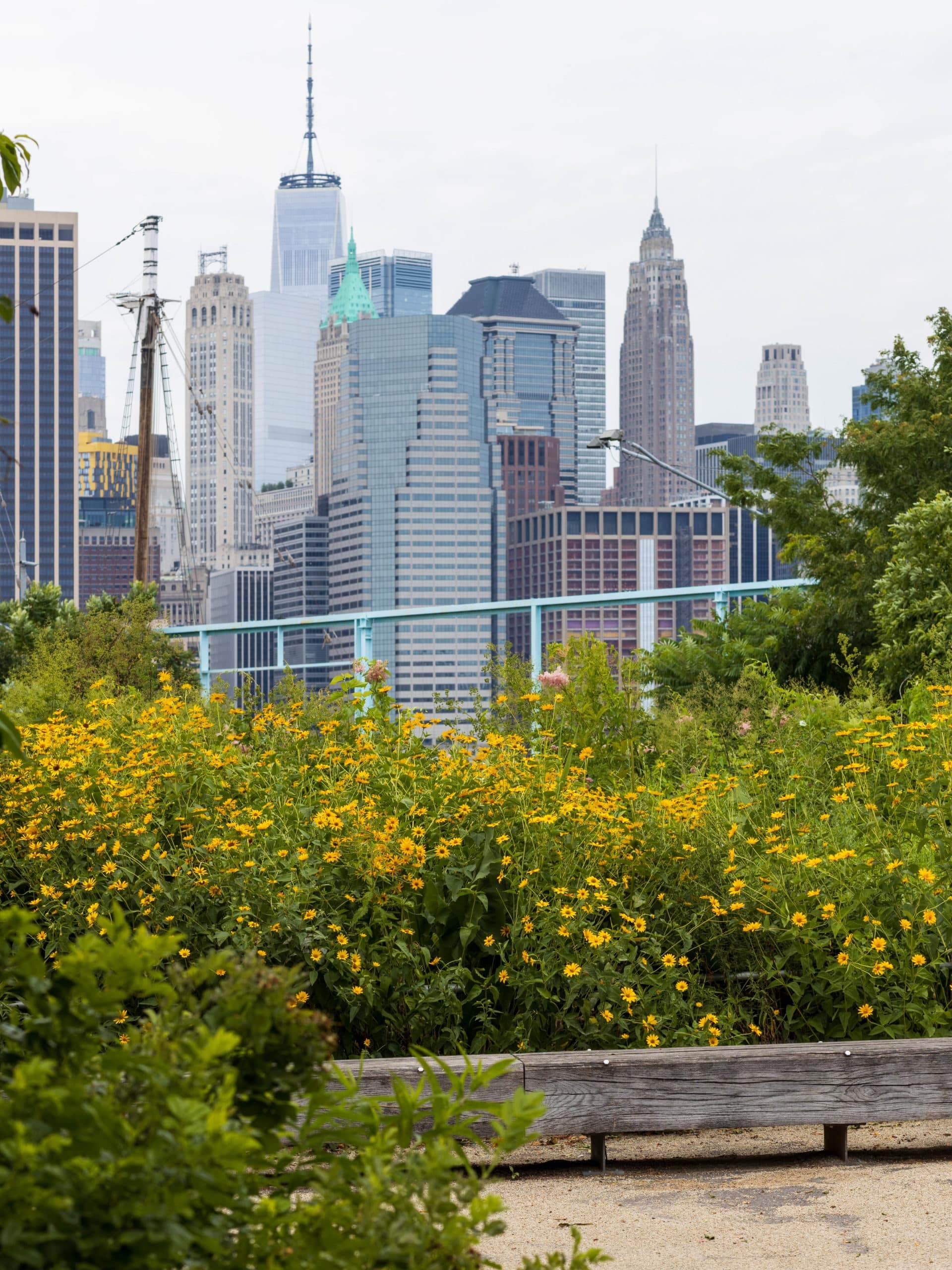 Pier 6 Brooklyn – Slide Mountain & Water Lab