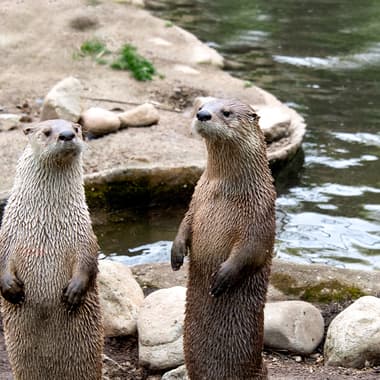 Prospect Park Zoo