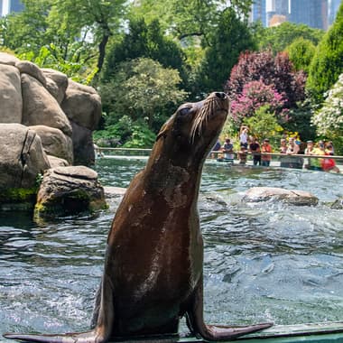 Central Park Zoo